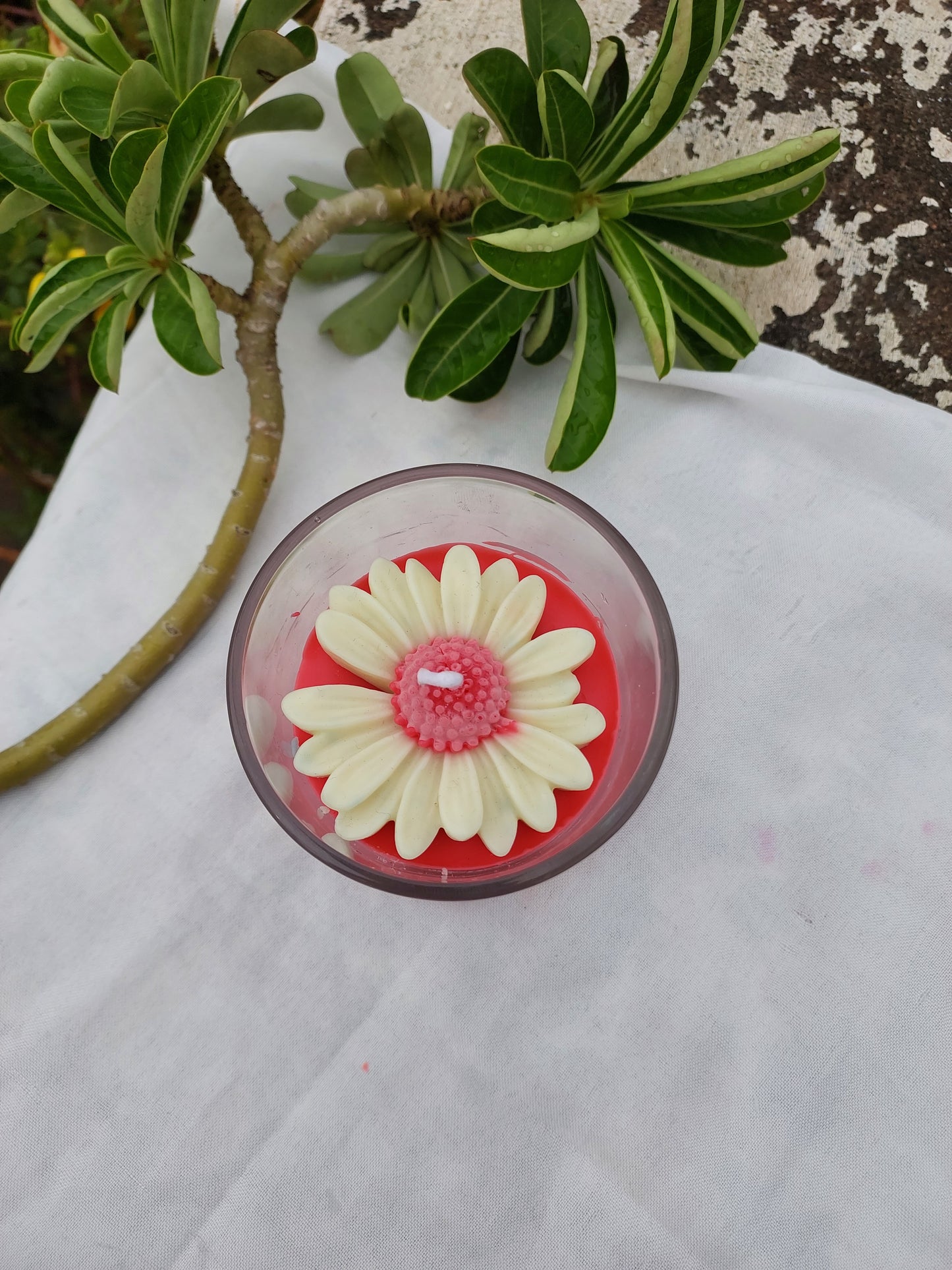 Handcrafted daisy candle scented soy paraffin