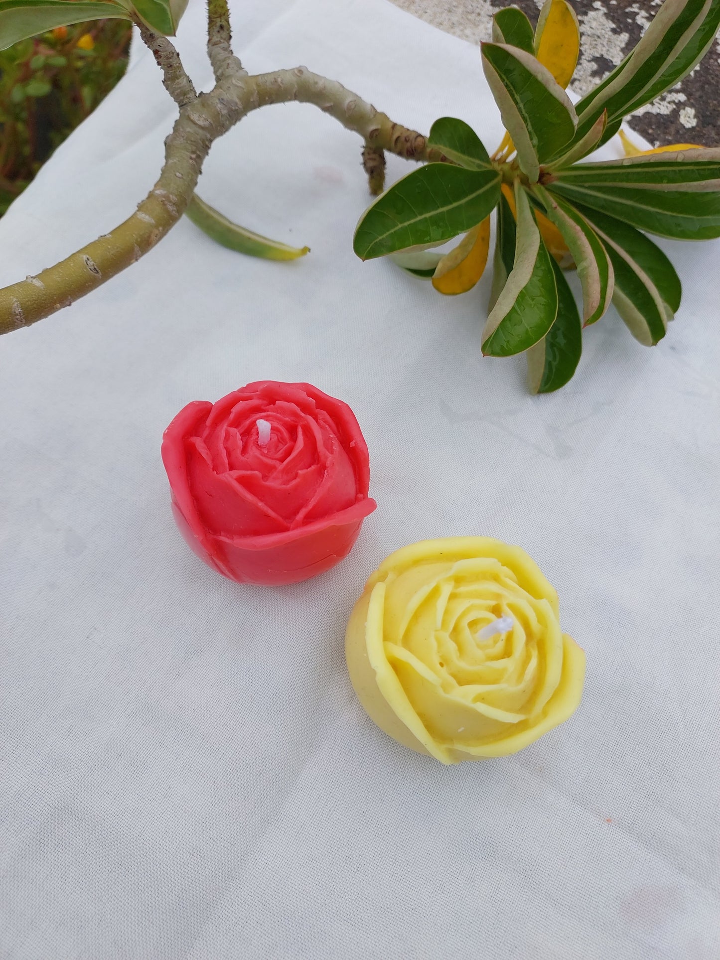 Handmade rose candle soy blend custom color India