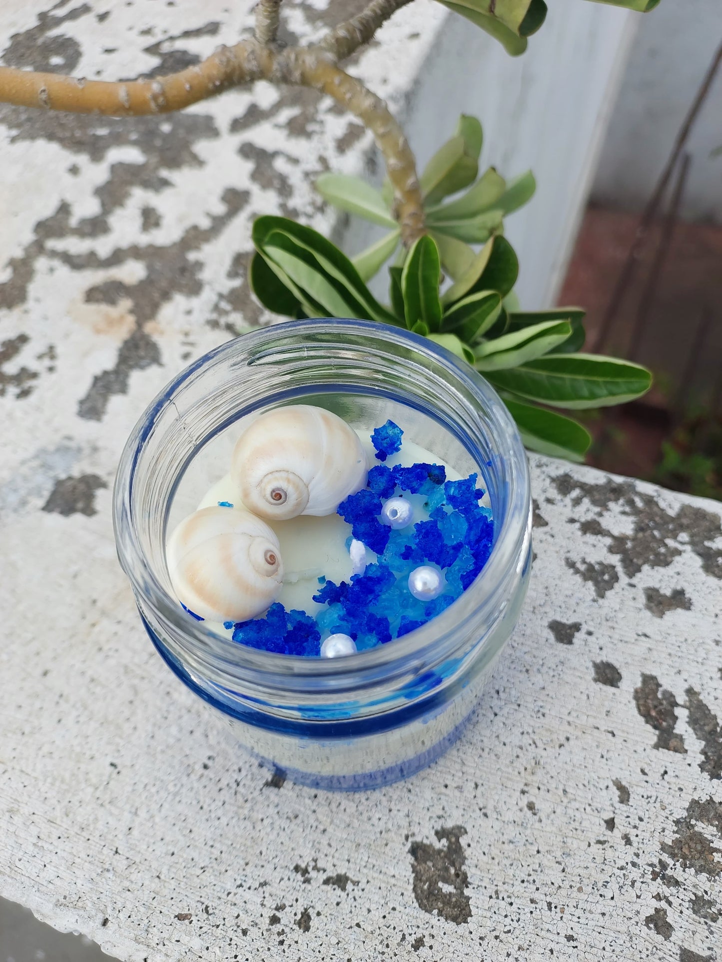 Ocean breeze scented candle seashell decor slow burn