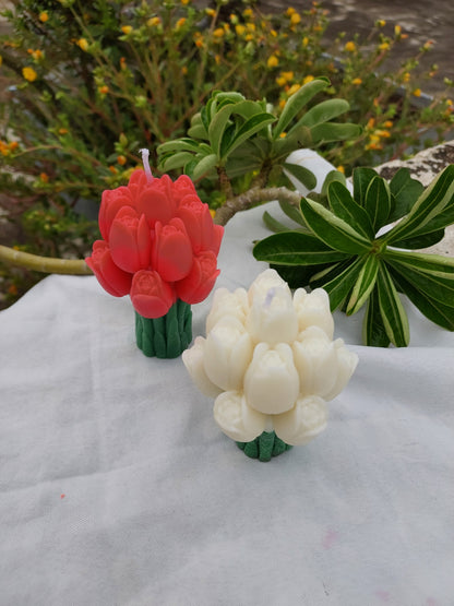 Tulip bouquet candle handmade soy paraffin blend